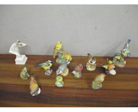Eleven Royal Worcester model birds to include Blue Tits, Yellow Hammers and others, along with a model of a horses head Astro
