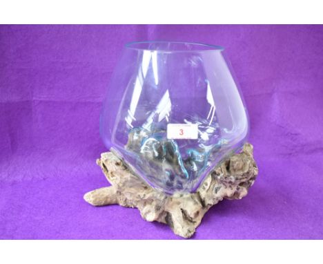 A contemporary Indonesian planter, hand crafted from root wood with a moulded transparent glass bowl, h24cm.