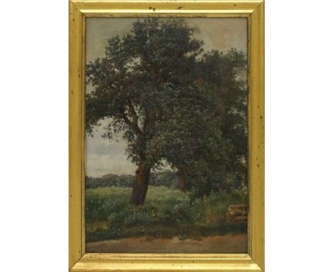 Lessing, Carl Friedrich (1808 Breslau - Karlsruhe 1880) Landschaft mit Baum. Öl/Lwd., auf Karton (rest.), li. u. monog. 36x 2