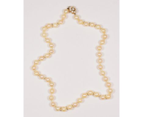 A uniform cultured pearl necklace, composed of 49 beads of 7mm diameter, to a 9ct gold and pearl clasp, 48cm, 