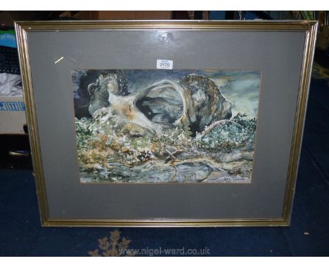 Merrill Middleton: pen, ink and watercolour study of undergrowth.