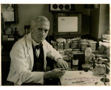 FLEMING ALEXANDER: (1881-1955) Scottish biologist, Nobel Prize winner for Physiology or Medicine, 1945. An excellent vintage 