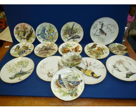 A quantity of display plates mostly World Wildlife Fund and two Poole plates.