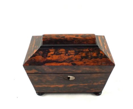 A 19th Century Coromanel wood two compartment tea caddy