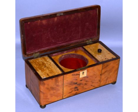 A REGENCY BLONDE TORTOISESHELL TWO DIVISION TEA CADDY on brass bun feet. 10ins wide.