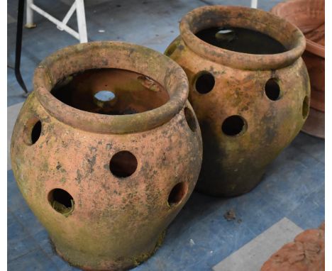 A Pair of Terracotta Urn Shaped Strawberry Planters, 40cms Diameter and 45cms High 