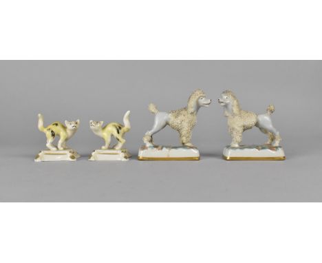 A Small Pair of Porcelain Cats, Modelled Standing on Cushion Together with a Pair of Poodles, Modelled Standing, Both with An
