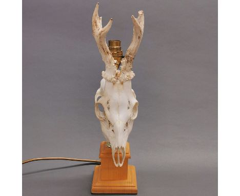 Taxidermy Roe Deer Skull Lamp, the cranium mounted to a brass and green onyx base. Wired with UK three pin plug. PAT tested.