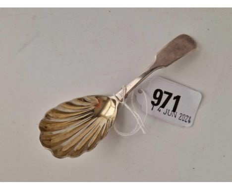 A late Victorian caddy spoon with shell bowl, London 1890 by RS