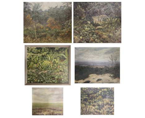 Fritz WILDHAGEN (1878-1956), 6 Gemälde, Landschaftsdarstellungen, alle signiert: große herbstliche Waldlandschaft, Öl/Lwd. 70