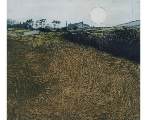 PHIL GREENWOOD (BRITISH b.1943) &nbsp;WINTERGRASS &nbsp;Etching, signed lower right, numbered 13/75, 40 x 45cm &nbsp; Conditi