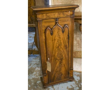 CLOCK CABINET, 19th century mahogany with lancet carved panel door enclosing shelves (adapted from a longcase clock), 52cm W 