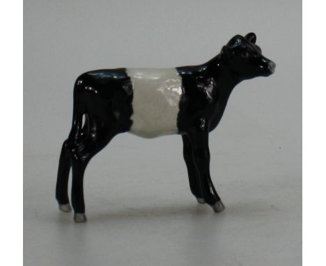 Beswick rare model of Aberdeen Angus calf in Belted Galloway colours 1249, numbered 38 to foot (no factory stamp).