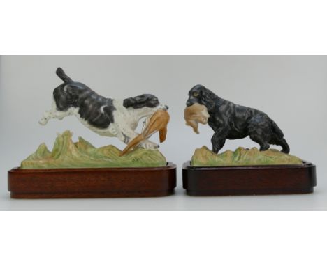 Royal Worcester model of a Springer Spaniel and Cocker Spaniel mounted on wood plinths , both from the Sporting Dogs series m