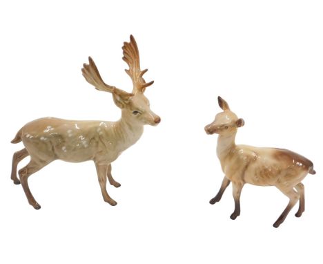 A Beswick ceramic stag, 27cm long, and a deer, 14cm long. 