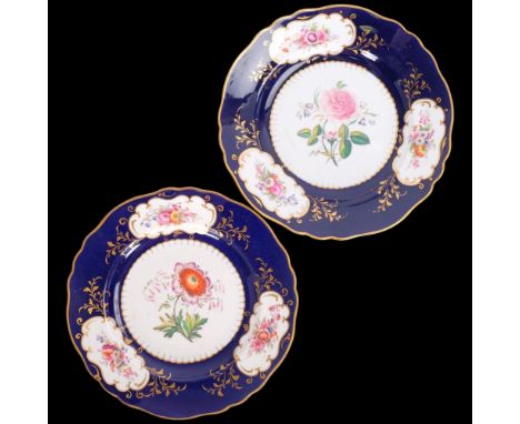 John Ridgway, pair of 19th century porcelain plates, with hand painted botanical studies in blue and gilt surrounds, diameter