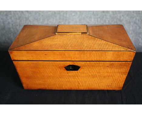 A Regency satinwood caddy of sarcophagus form with fitted interior. H.17 W.30 D.15cm. 