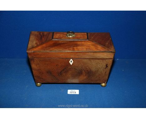 A Mahogany sarcophagus shaped Tea Caddy on ornate brass ball feet, brass handle and two lidded compartments, (lacking bowl), 