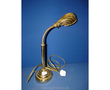 A brass flexible desk lamp with shell shape top, 19'' tall.working at time of lotting needs a plug]