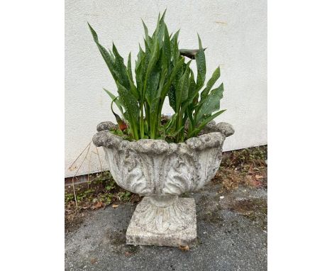 Concrete garden urn / planter