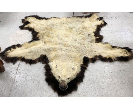 A Polar Bear skin rug with head and paws on a brown Bear skin mount/surround with canvas backing CONDITION REPORTS Areas of l