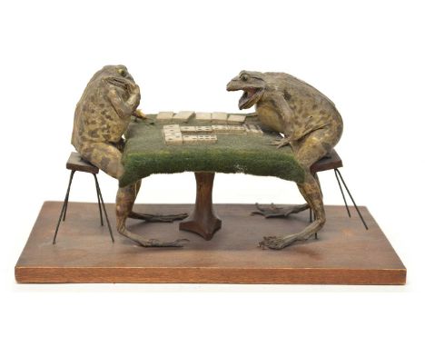 Jeremy Fisher, two stuffed taxidermy toads sitting at a table playing domino's. Plinth 20cm wide, 11cm deep, 10cm high