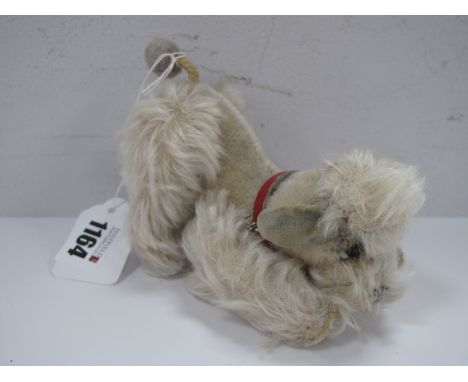 A Mid XX Century Steiff Fur Poodle, moveable legs, collar and glass eyes, (button in ear).