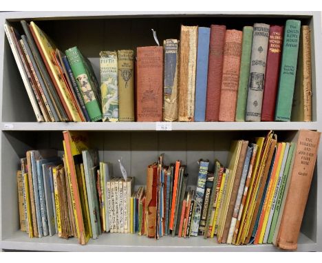 A quantity of vintage children's books including annuals, stories, Enid Blyton, six Beatrix Potter, Ladybird, etc (two shelve