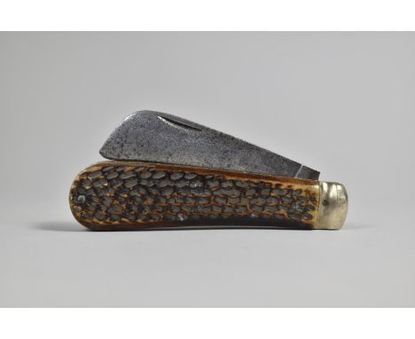 A 19th Century Folding Pruning Knife with Horn Scales 