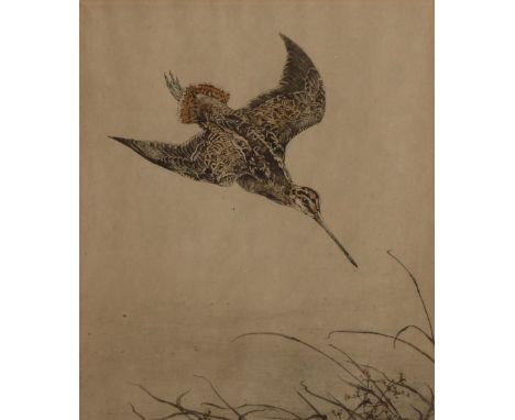 WINIFRED AUSTEN (1876-1964) 'Snipe', etching in colours, pencil signed in the margin and titled, 24.5 x 21cm With Charles Nic