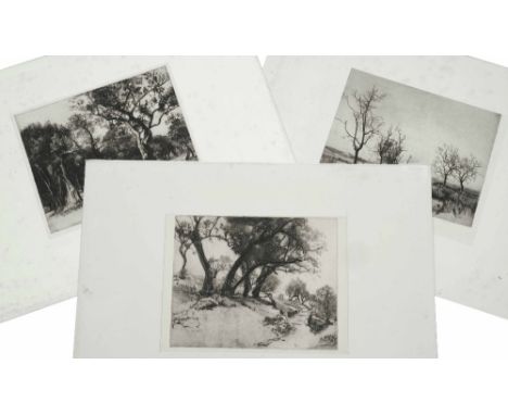 EDWARD MILLINGTON SYNGE (1860-1913) 'Olive Trees near Tourretteo?', etching, 20 x 25cm; and two further similar - 'Study of O