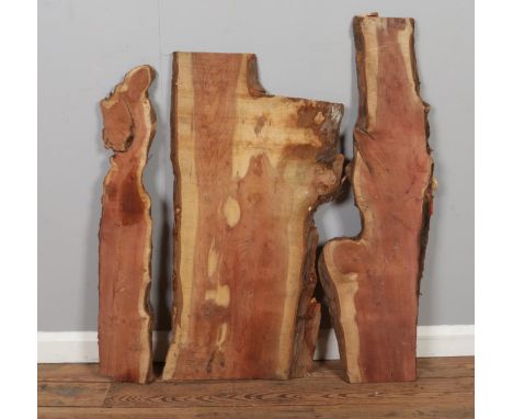 Three tree trunk slices. Largest approximately 93cm x 47cm.