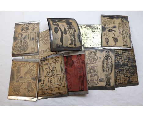Nine early 20th century E.J. Arnold & Son Ltd printing plates comprising anatomy to include detailed images of the lungs, hea