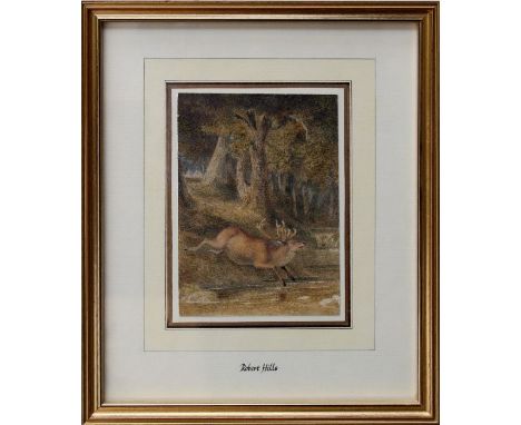 Robert Hills O.W.S (1769-1844)
A roaring stag crossing a stream. Watercolour and pencil, 14.5 x 11cm

Provenance Sotheby's 22