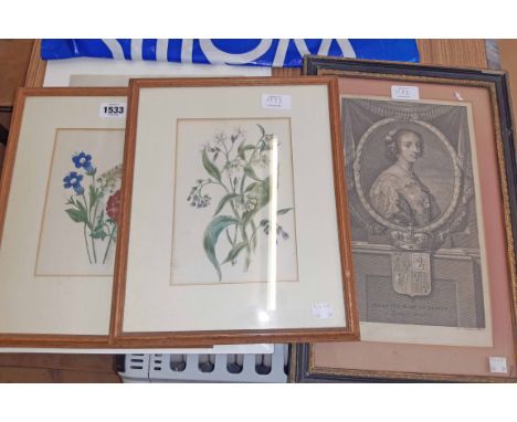 A pair of framed vintage floral study watercolours - sold with a Hogarth framed antique steel engraving portrait of Henriette