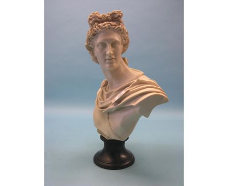 A moulded resin portrait bust, Apollo, marble-effect on ebonised socle plinth, 22in.