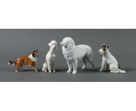 4 Hunde-Figuren1x Ludwigsburg, 1x Rosenthal, 1x Hutschenreuther und 1x thüringisch-sächsische Porzellanmanufaktur "HR", 20. J