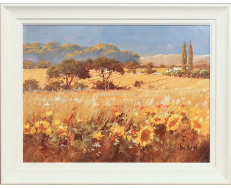 Allan Morgan (British, b.1952) Sunflower fields, Italy oil on canvas, signed lower right 11 5/8 x 15½in (29.5 x 39.4cm), whit