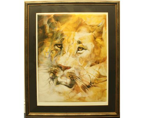 Nico Vosloo (South African, contemporary) Portrait of a lion limited edition colour print, signed and numbered 421/999 in pen