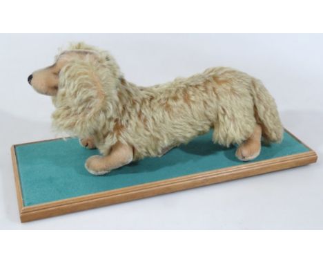 A mid 20thC Steiff dachshund, c.1960's with silver button, 37cm wide, in a Perspex case.