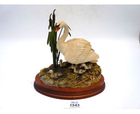 A boxed Border Fine Arts swan "First one in".
