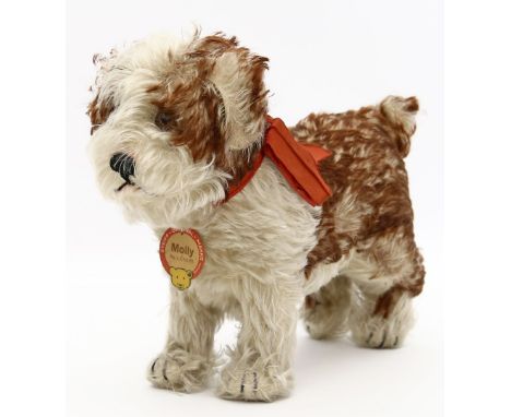 Steiff-Hund "Molly". Weißer und brauner Mohair. Drehkopf mit braunen Glasaugen. Druckstimme. Mit K, roter F und S. Nahezu unb