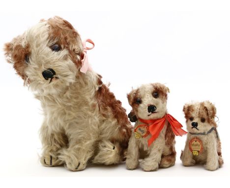3 sitzende Steiff-Hunde "Molly".  Weißer und brauner Mohair. 1x mit S, 1x mit K und F, 1x mit K, F und S. Bespielt. 50er Jahr