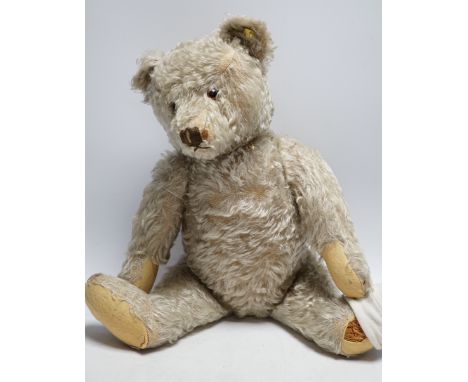 Steiff bear, c.1950's, button and label, 50cm, one ear loose, holes to paw pads, small patch of wear on chest