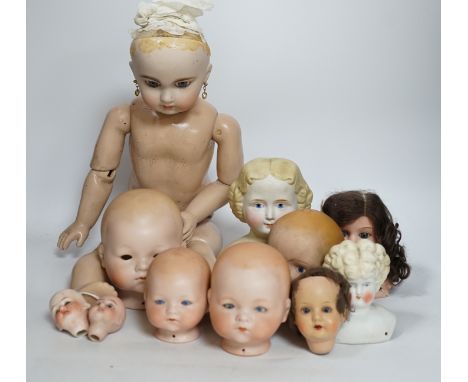 Ten bisque doll's heads and a reproduction Jules Steiner doll