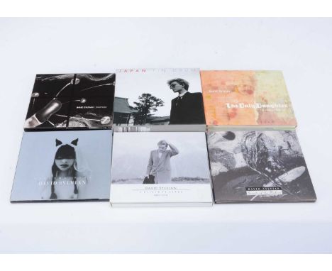 Japan / Solo CDs approximately thirty CDs with titles by Japan, David Sylvian and other Solo members including Tin Drum, A Vi