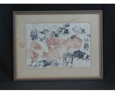 ANEURIN M. JONES, (Welsh, 20th Century), studies of sheepdogs, black and coloured ink, signed to the mount and verso. 28cm x 