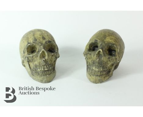 Two stone human skulls, approx 18 l x 13 h cms, previously mounted for architectural purposes.&nbsp;