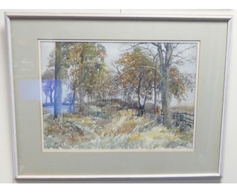 Reginald George Haggar (1905-1988) R.I., A.R.C.A. Watercolour titled Trees Nr Jacobs Ladder Trentham: Dated 1968 exhibition n