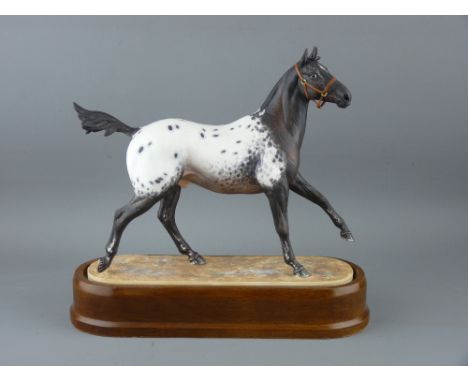 ROYAL WORCESTER EQUESTRIAN MODEL 'Appaloosa Stallion 1969', by Doris Lindner, on a wooden base, height 27cms
